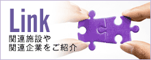 Link